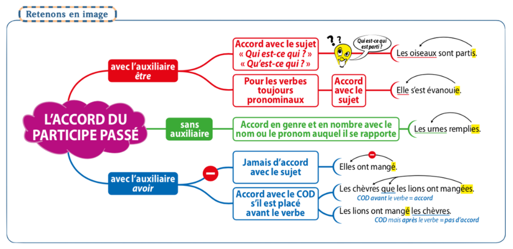 Schéma de synthèse : le participe passé s'accorde avec le sujet avec l'auxiliaire être, avec le nom auquel il se rapporte sans auxiliaire, et avec le COD placé avant le verbe avec l'auxiliaire avoir.
